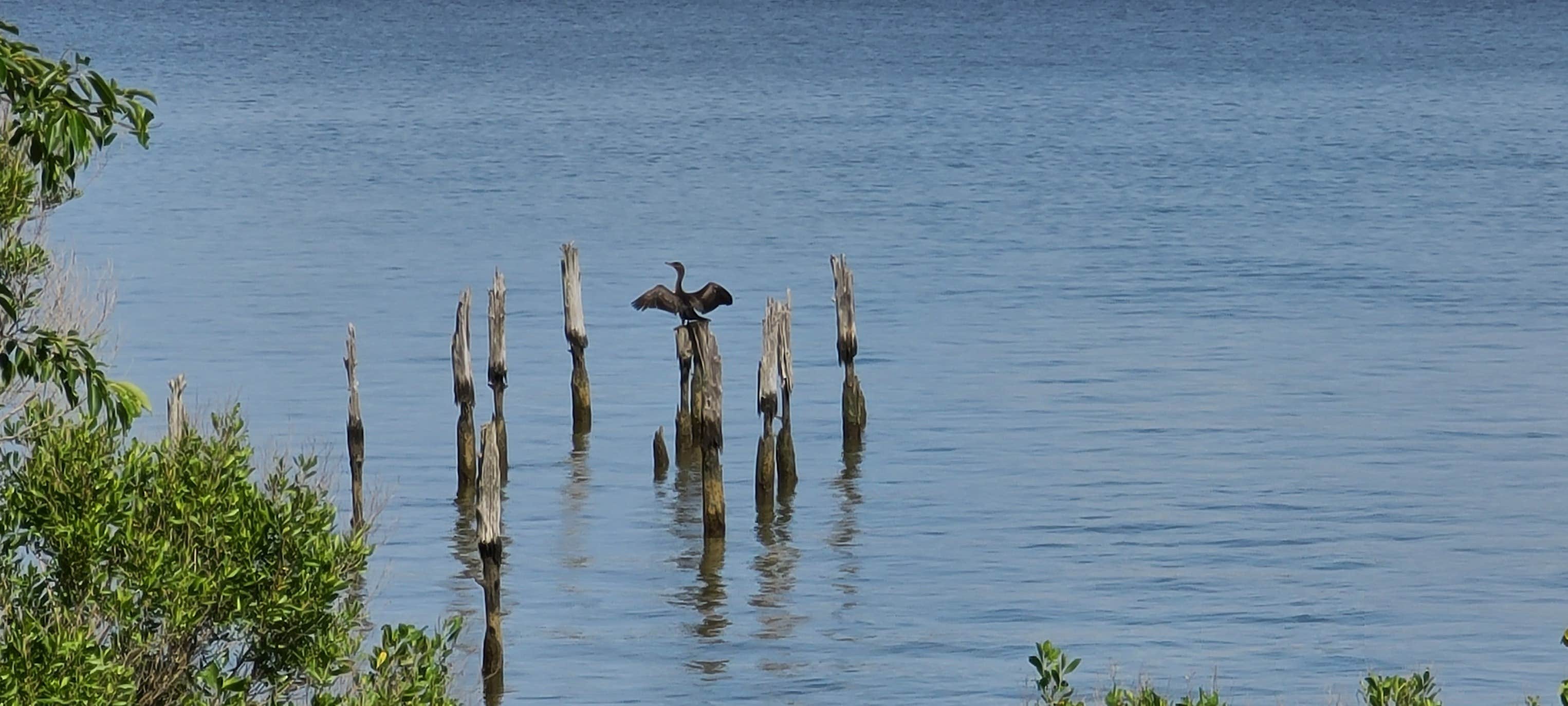 Camper-submitted photo at Endeavor Point near Dowell, MD