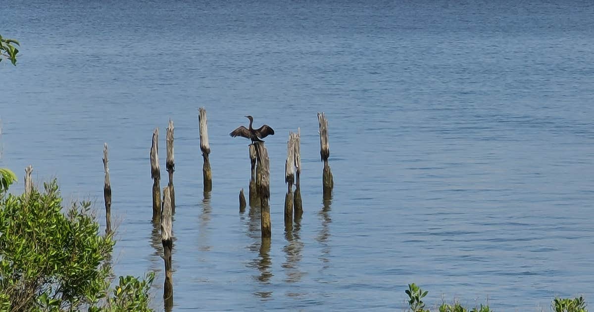 Rollins Fork photo 5