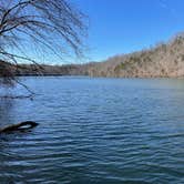 Review photo of Warriors' Path State Park Main Campground — Warriors' Path State Park by Bob R., March 24, 2022