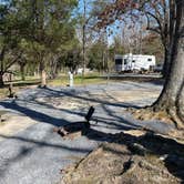 Review photo of Warriors' Path State Park Main Campground — Warriors' Path State Park by Bob R., March 24, 2022