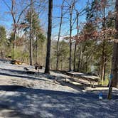 Review photo of Warriors' Path State Park Main Campground — Warriors' Path State Park by Bob R., March 24, 2022