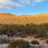 Review photo of Lovell Canyon Dispersed Camping (Spring Mountain) by Erin T., March 24, 2022