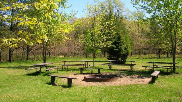 Camping near Roche A Cri State Park Campground: Buckhorn Campground Resort, Necedah, Wisconsin