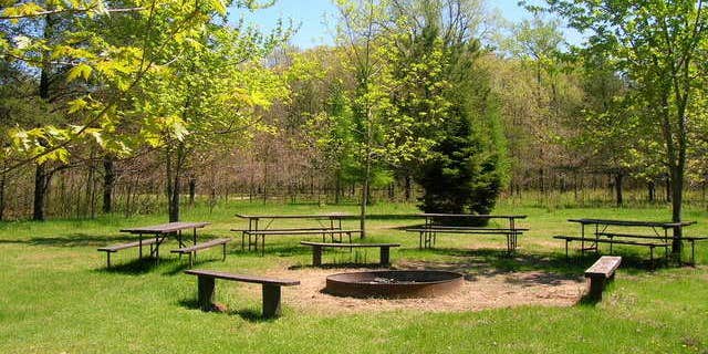 Camper submitted image from Buckhorn Campground Resort