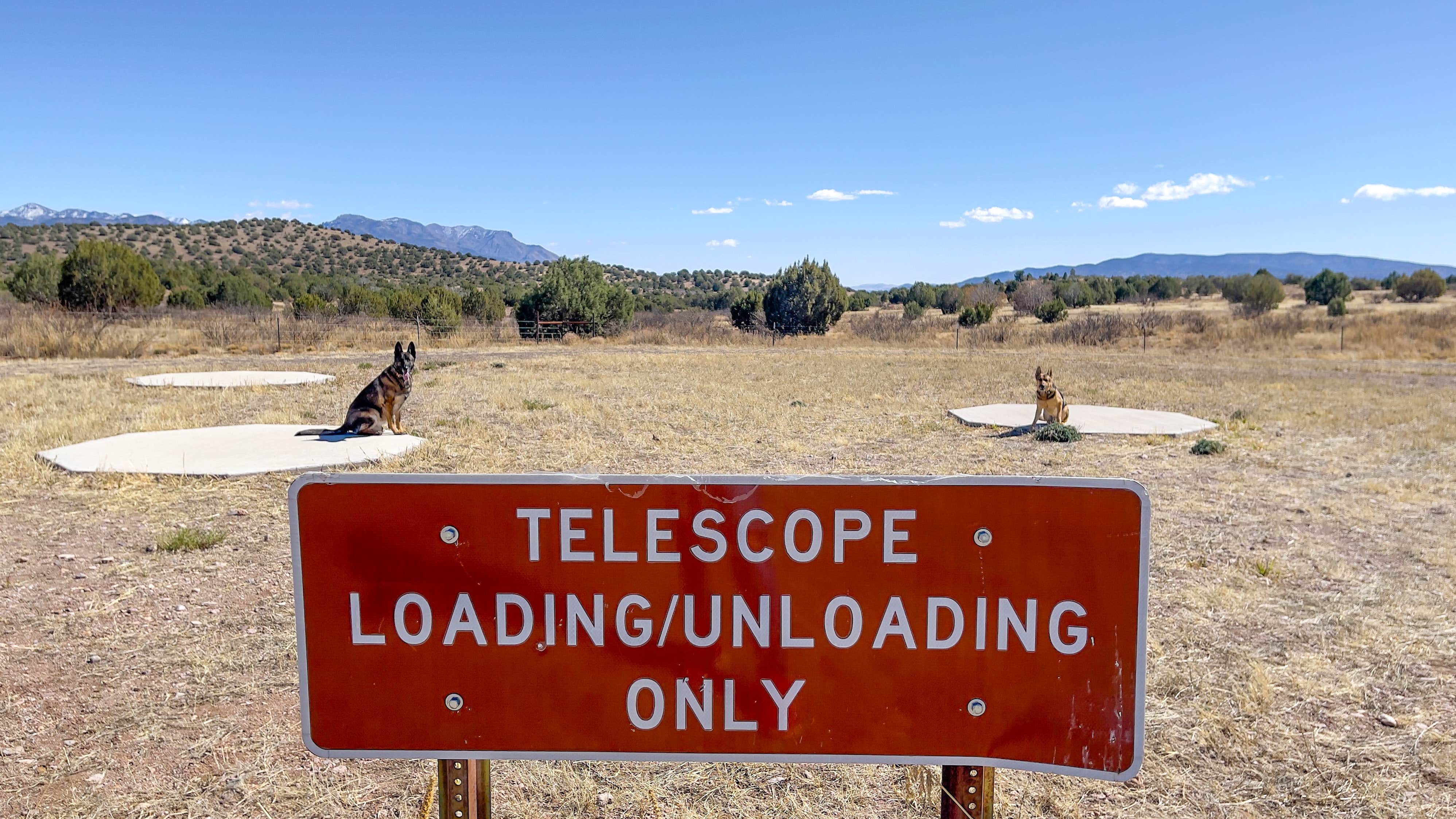 will's photo of camping with pets at Cosmic Campground near Morenci, AZ