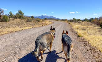 will's photo of camping with pets at Cosmic Campground near Alpine, AZ
