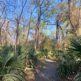 Review photo of Palmetto Island State Park Campground by Kelly E., March 25, 2022