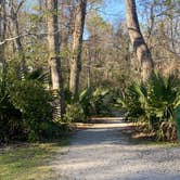 Review photo of Palmetto Island State Park Campground by Kelly E., March 25, 2022