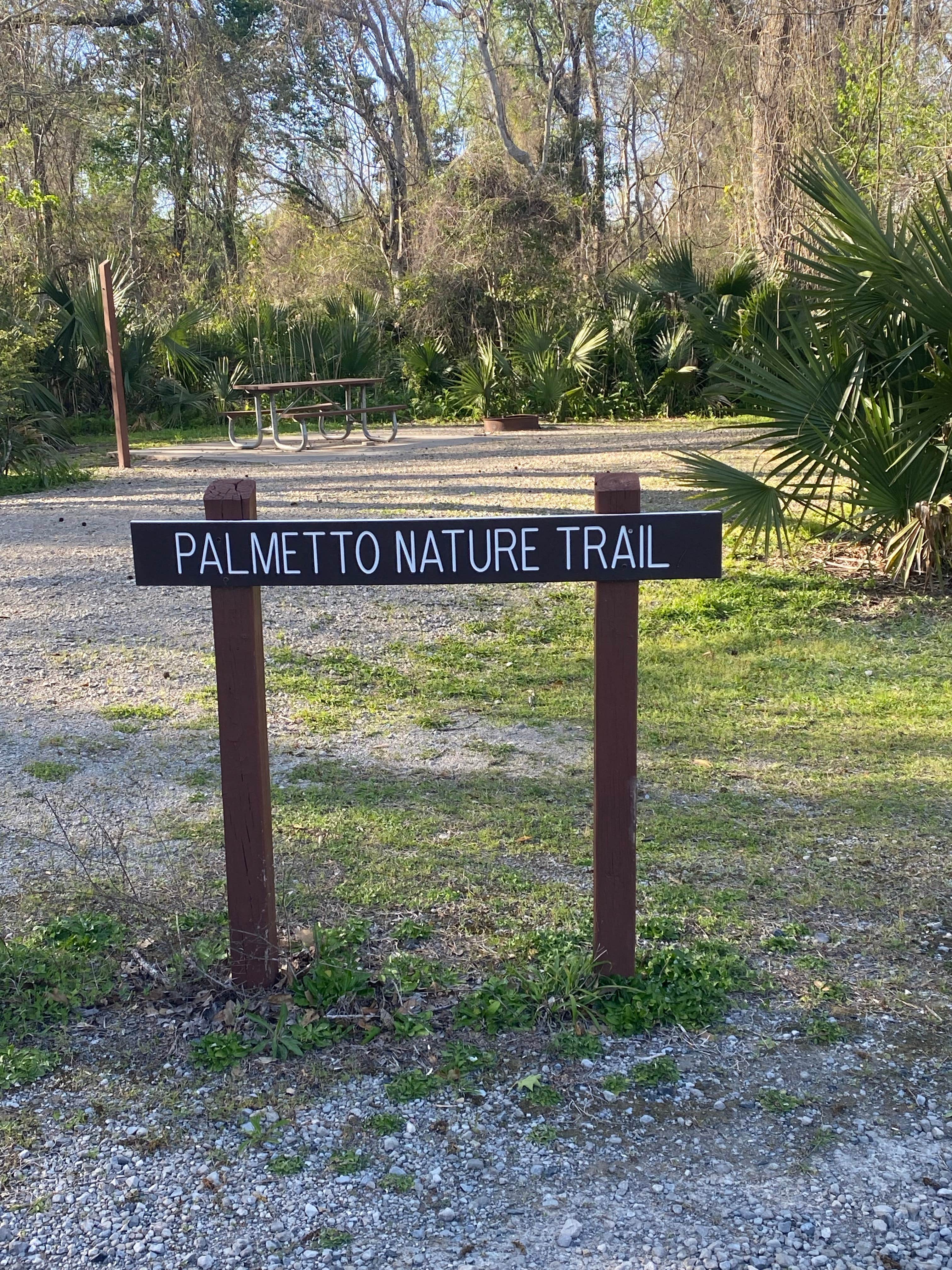 Camper submitted image from Palmetto Island State Park Campground - 5