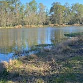 Review photo of Palmetto Island State Park Campground by Kelly E., March 25, 2022