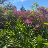 Review photo of Palmetto Island State Park Campground by Kelly E., March 25, 2022