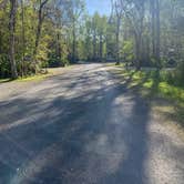 Review photo of Palmetto Island State Park Campground by Kelly E., March 25, 2022