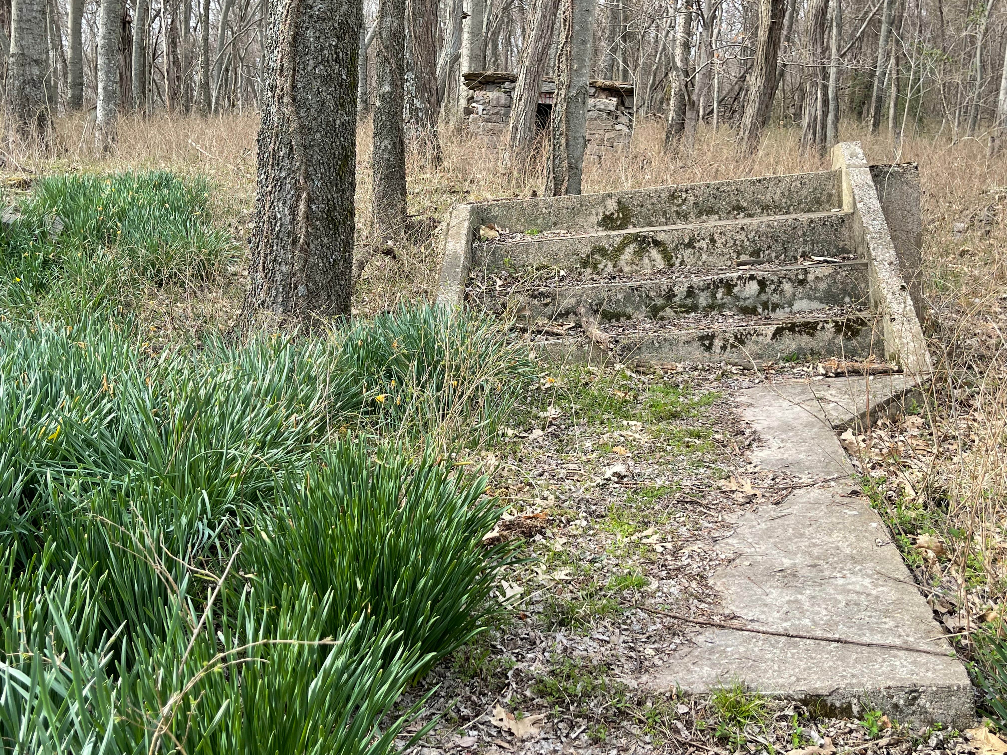 Camper-submitted photo at Land Between The Lakes National Recreation Area Hillman Ferry Campground near Grand Rivers, KY