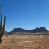 Review photo of Picacho Peak State Park Campground by Philip D., March 25, 2022