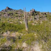 Review photo of Picacho Peak State Park Campground by Philip D., March 25, 2022