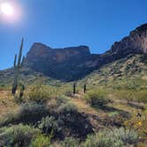 Review photo of Picacho Peak State Park Campground by Philip D., March 25, 2022