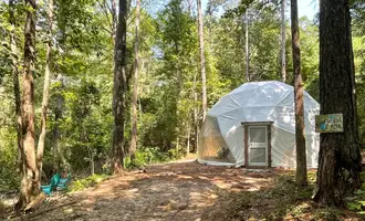 Camping near Atlanta Alpaca Treehouse in the Bamboo Forest: Atlanta Glamping, Pine Mountain, Georgia