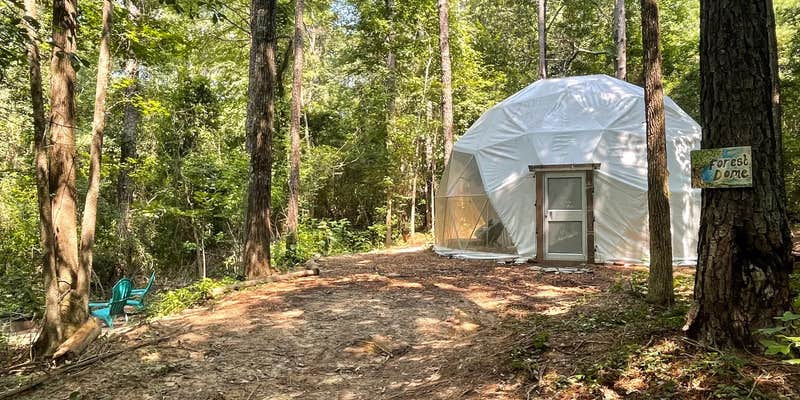 Camper submitted image from Atlanta Glamping