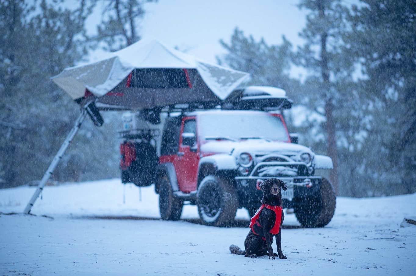 Diego H.'s photo of camping with pets at Fraile’s Campground - Dispersed near Pike and San Isabel National Forests and Cimarron and Comanche National Grasslands