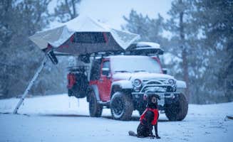 Diego H.'s photo of camping with pets at Fraile’s Campground - Dispersed near Pike and San Isabel National Forests and Cimarron and Comanche National Grasslands