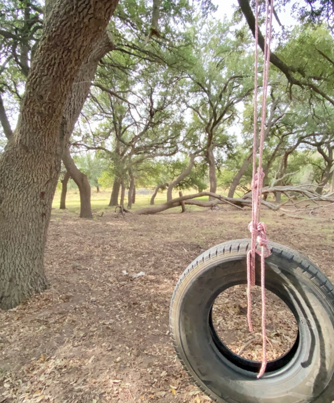 Camper-submitted photo at Flying Cow Ranch near Cisco, TX