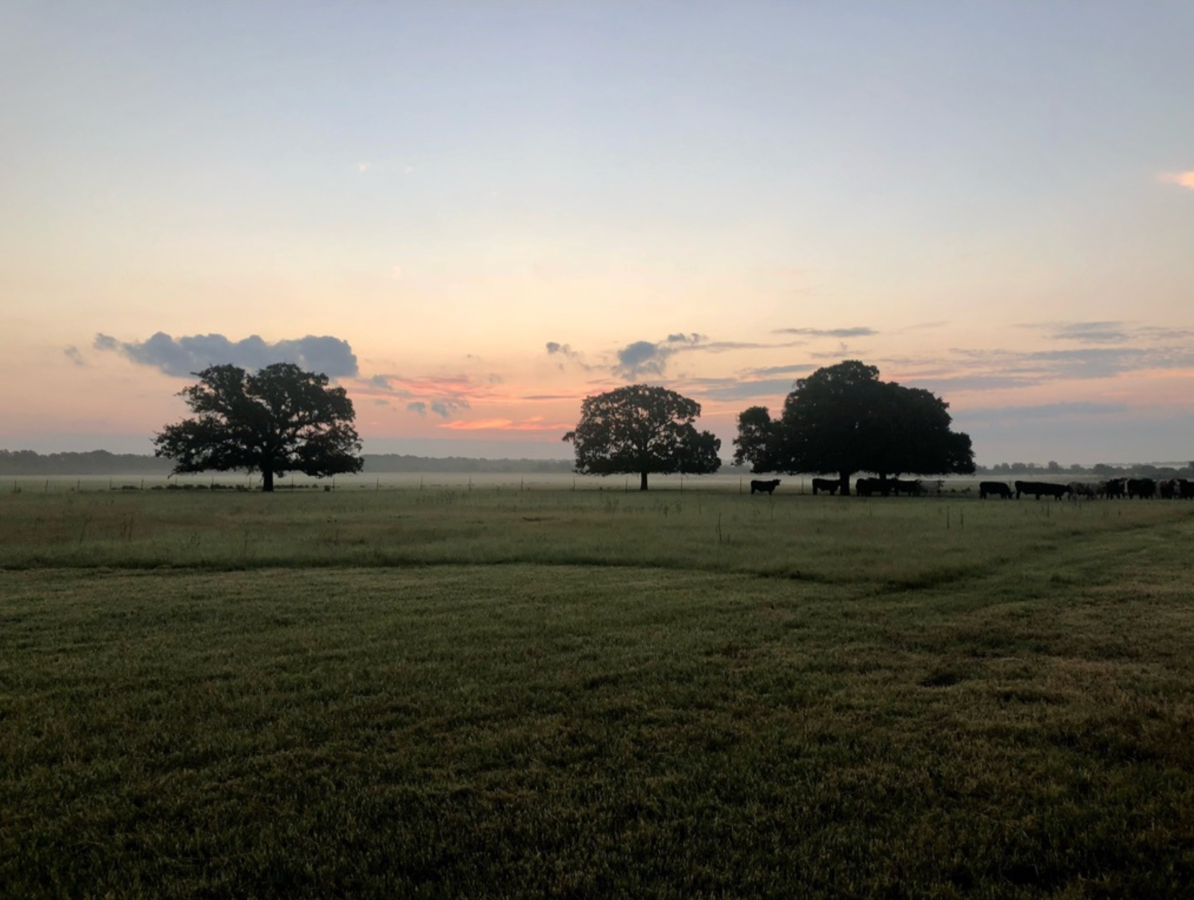 Camper-submitted photo at Flying Cow Ranch near Cisco, TX