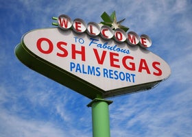 Osh Vegas Palms