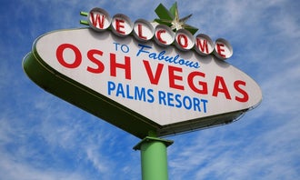 Osh Vegas Palms