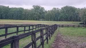 Camper-submitted photo at Alder Farm near Lockbourne, OH