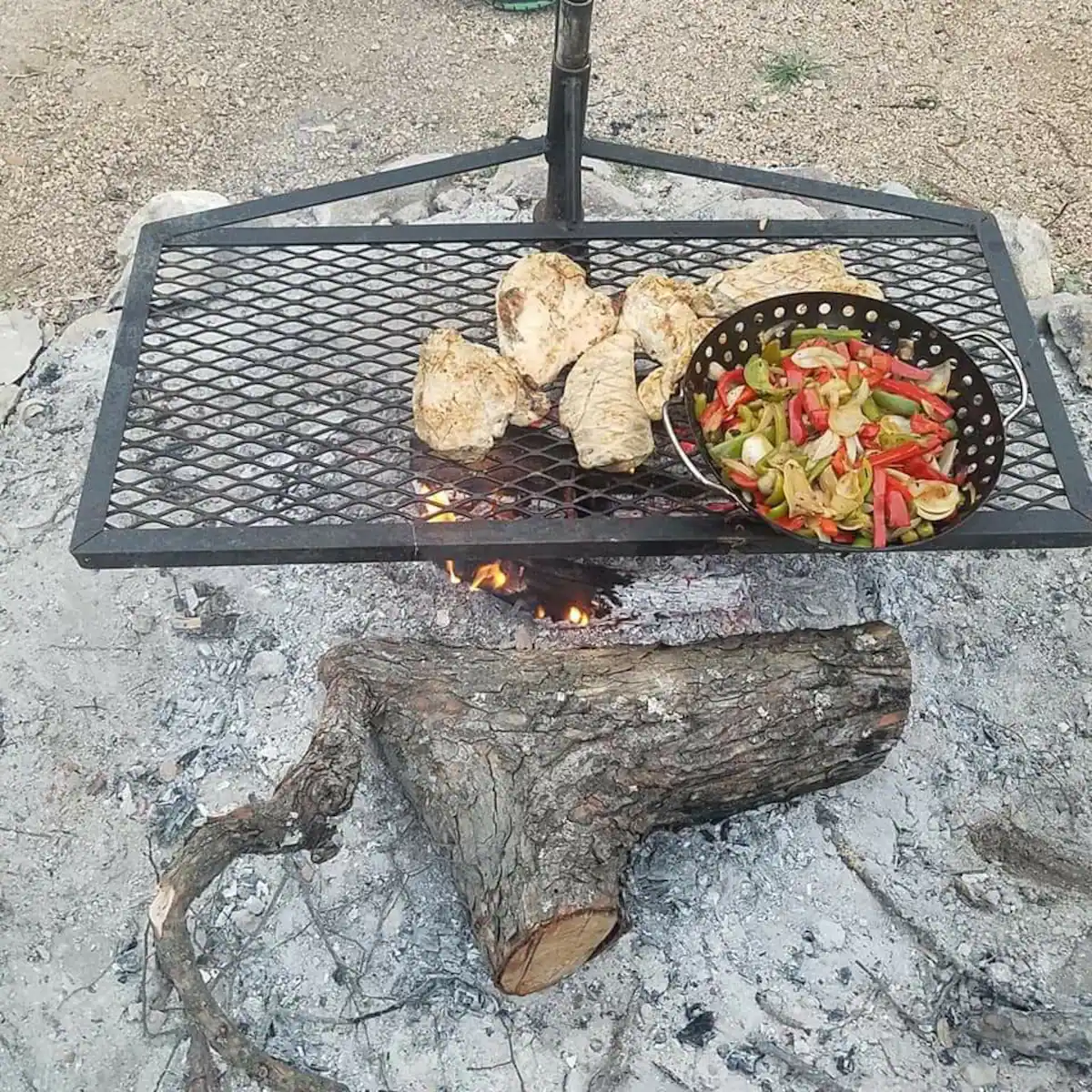 Camper-submitted photo at May the Forest Be With You unique RV stay near Jonestown, TX