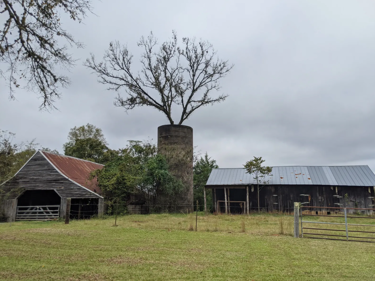 Camper submitted image from Sandover Historic Homesite - 1