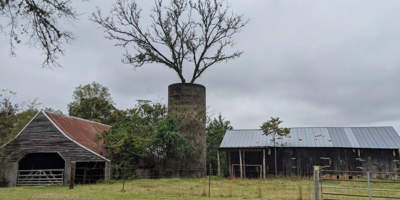 Camper submitted image from Sandover Historic Homesite