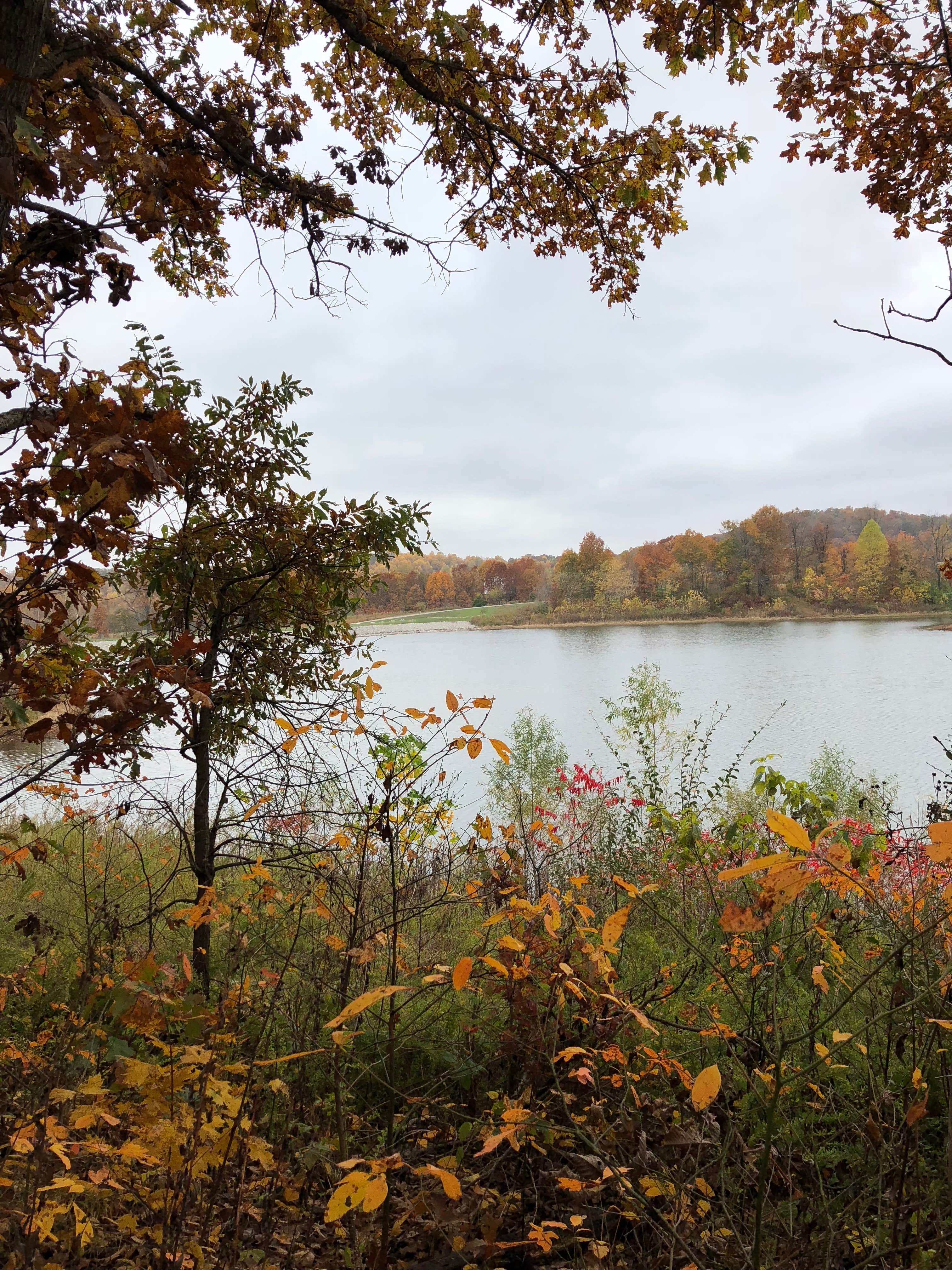 Camper-submitted photo at Trail of Tears State Park Campground near Jonesboro, IL