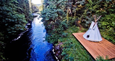 Trout Creek Wilderness Lodge
