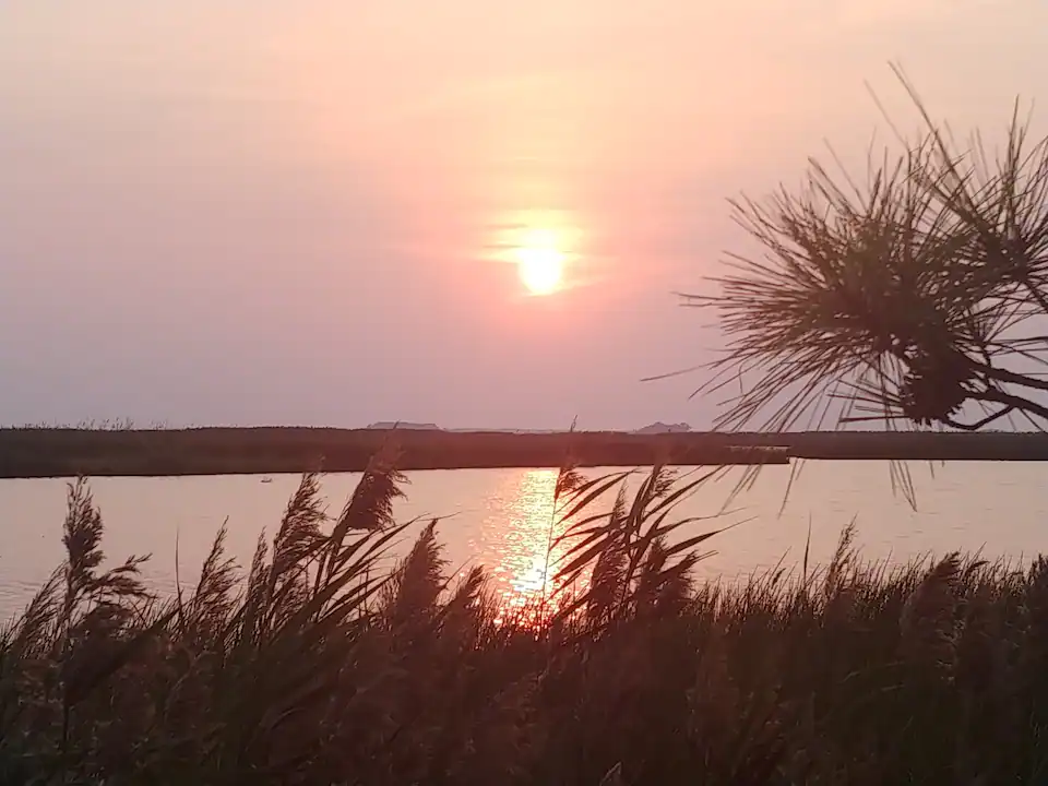 Camper-submitted photo at Levin's Waterfront Paradise near Trappe, MD