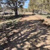 Review photo of Junipers Reservoir RV Resort by Brian A., March 25, 2022