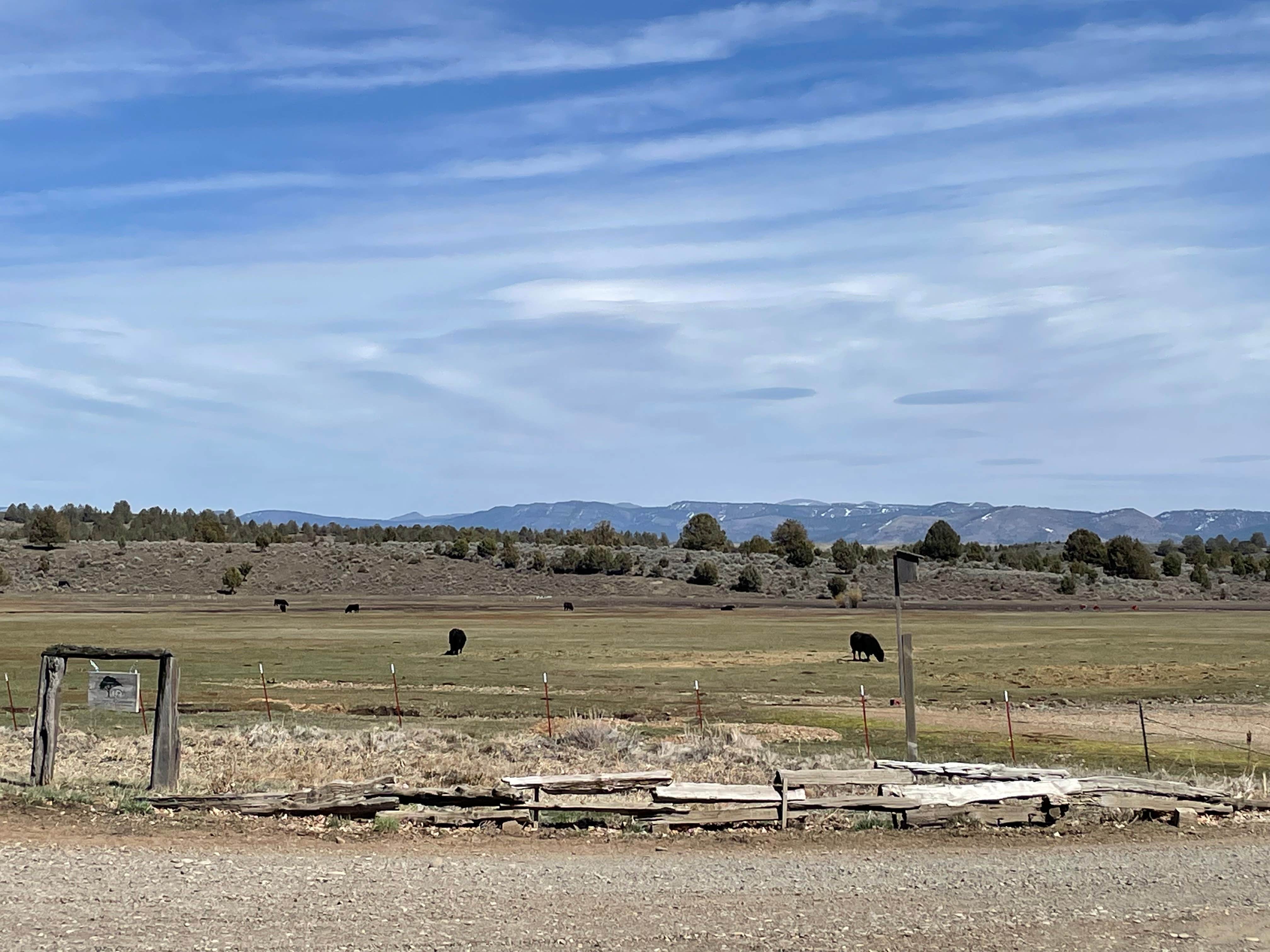 Camper-submitted photo at Junipers Reservoir RV Resort near Adel, OR