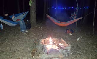 Jeremy S.'s photo at Jackson Falls near Grantsburg, IL