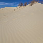 Review photo of Monahans Sandhills State Park Campground by Kloee S., March 26, 2022