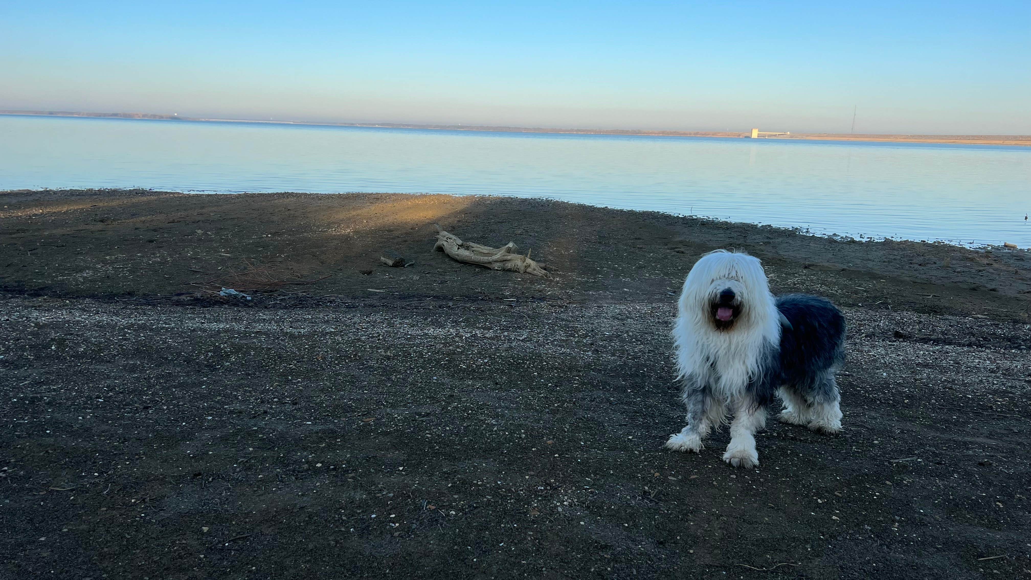 Daniel L.'s photo of camping with pets at Cedar Hill State Park Campground near Arlington, TX