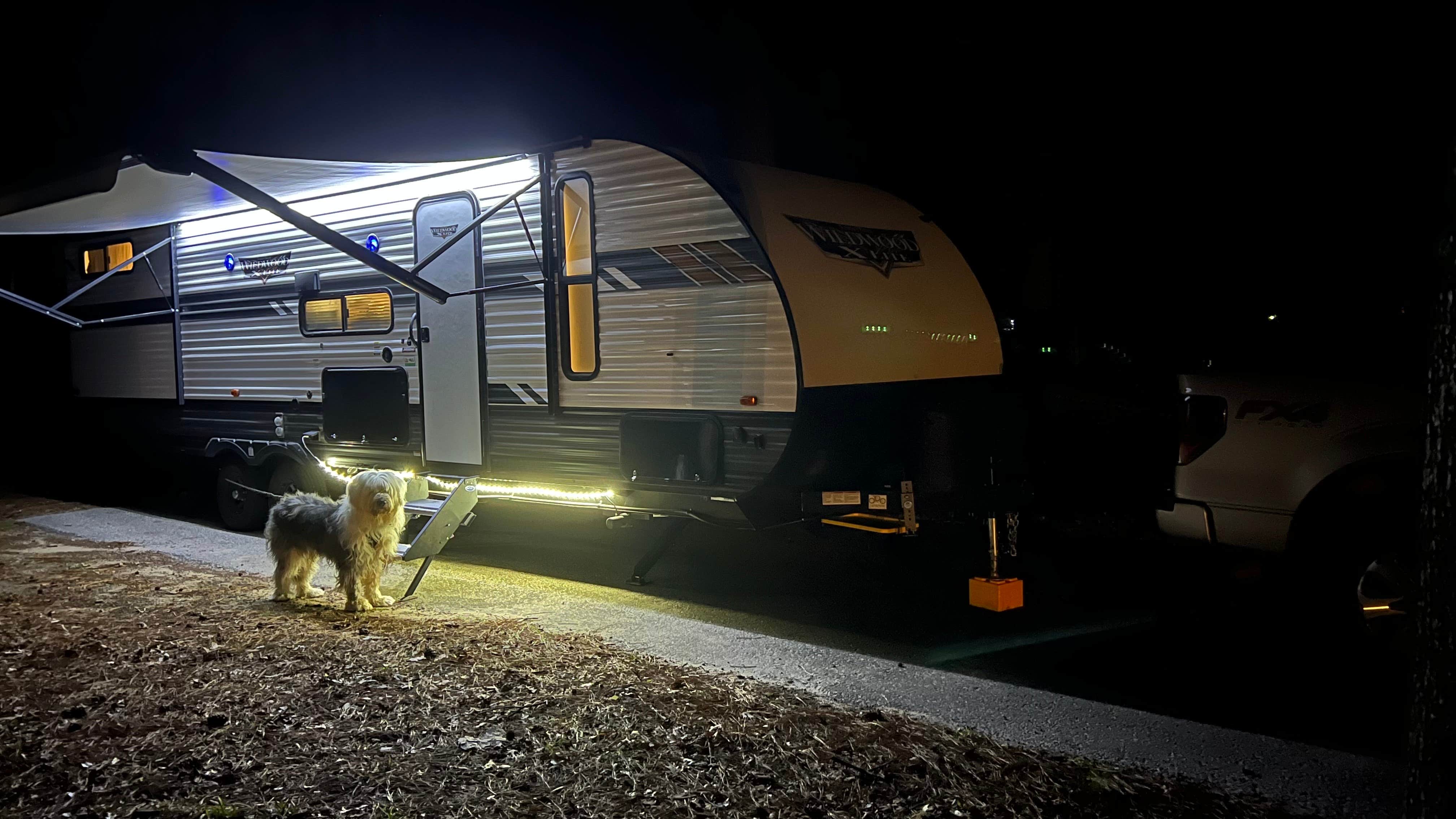 Daniel L.'s photo of camping with pets at Huntsville State Park Campground near Sam Houston National Forest