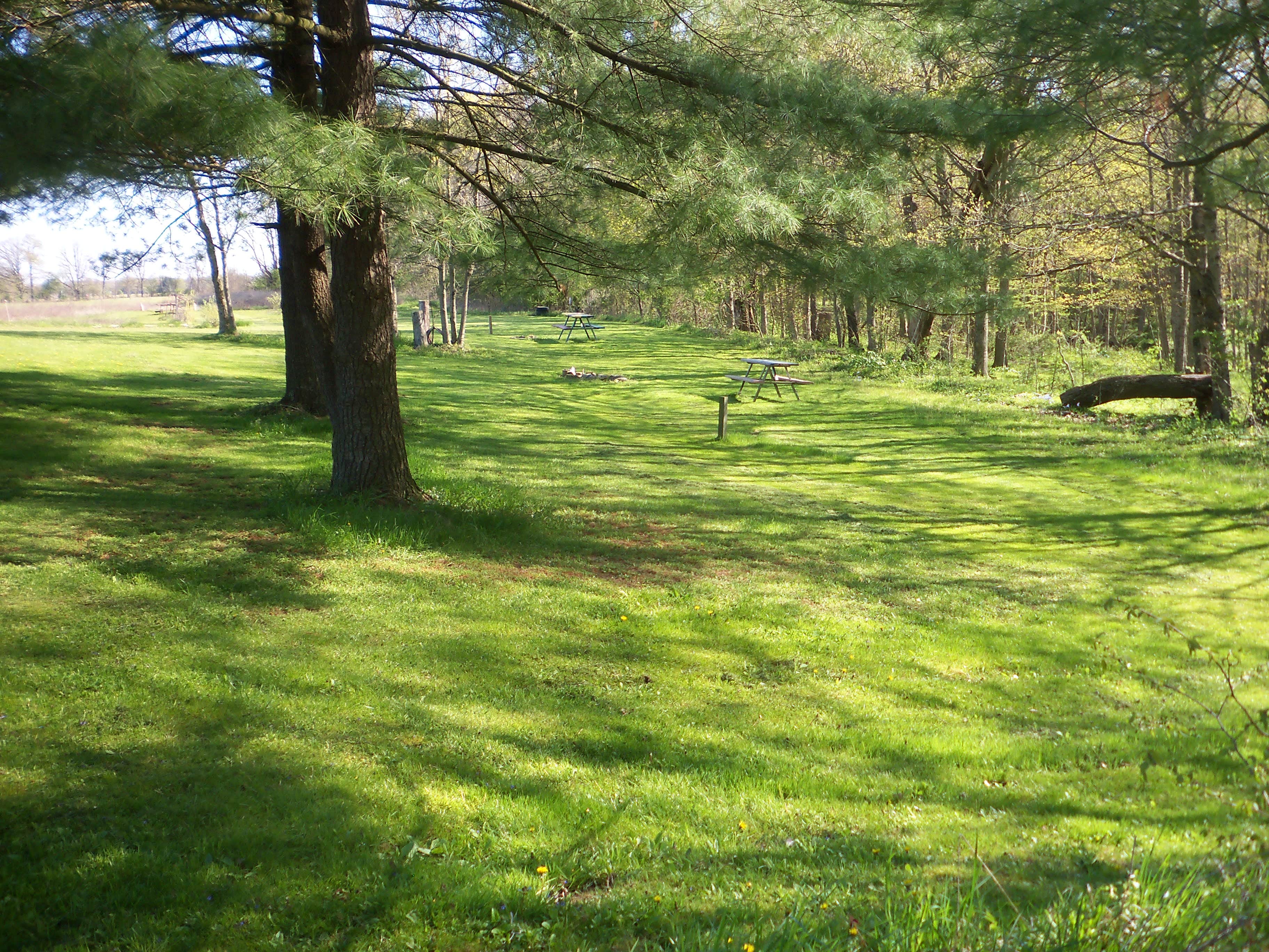 Camping near Yogi Bear's Jellystone Park at Columbus: Grins & Pickin's CampFarm, Centerburg, Ohio