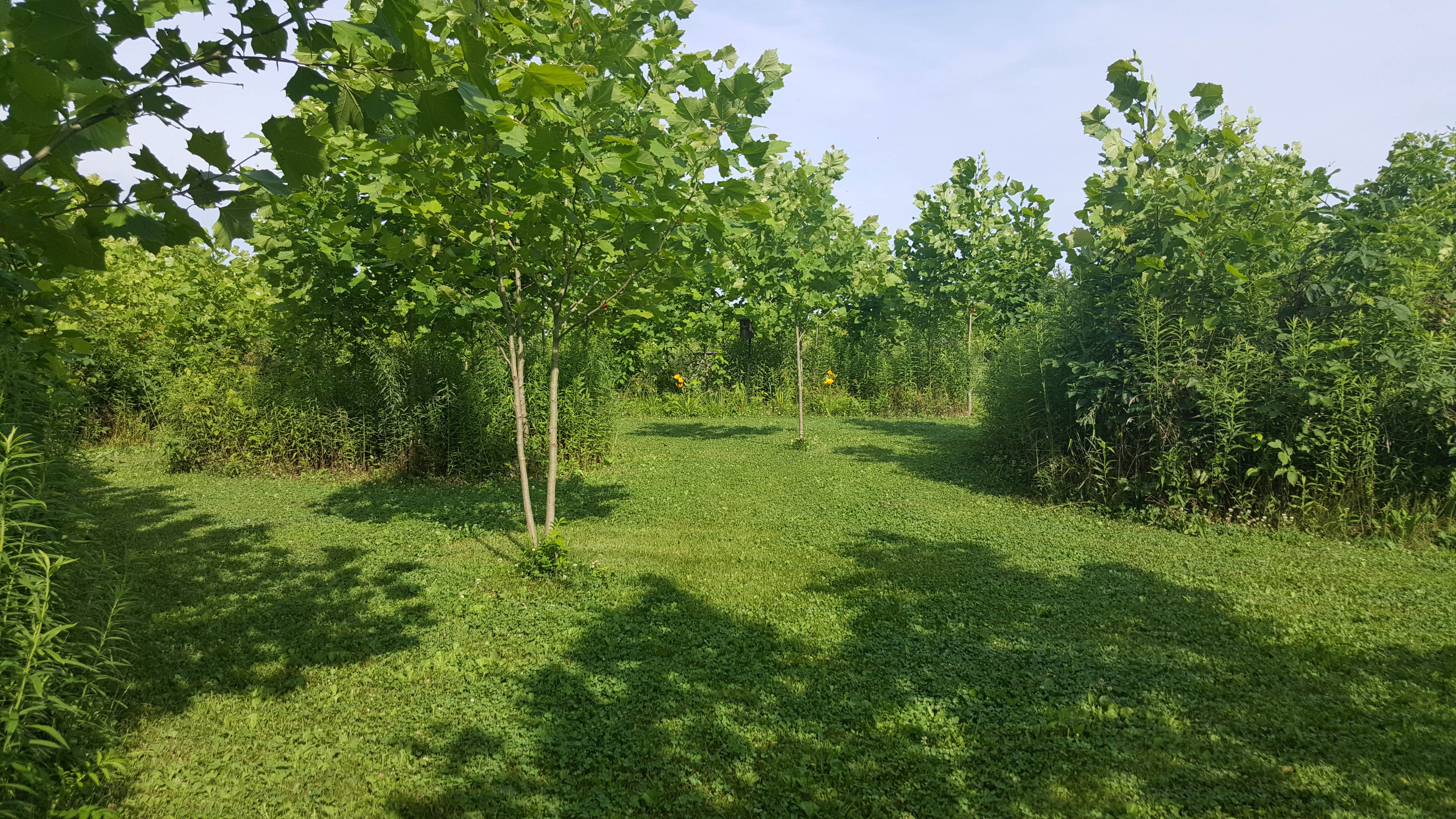 Camper-submitted photo at Grins & Pickin's CampFarm near Alum Creek Lake