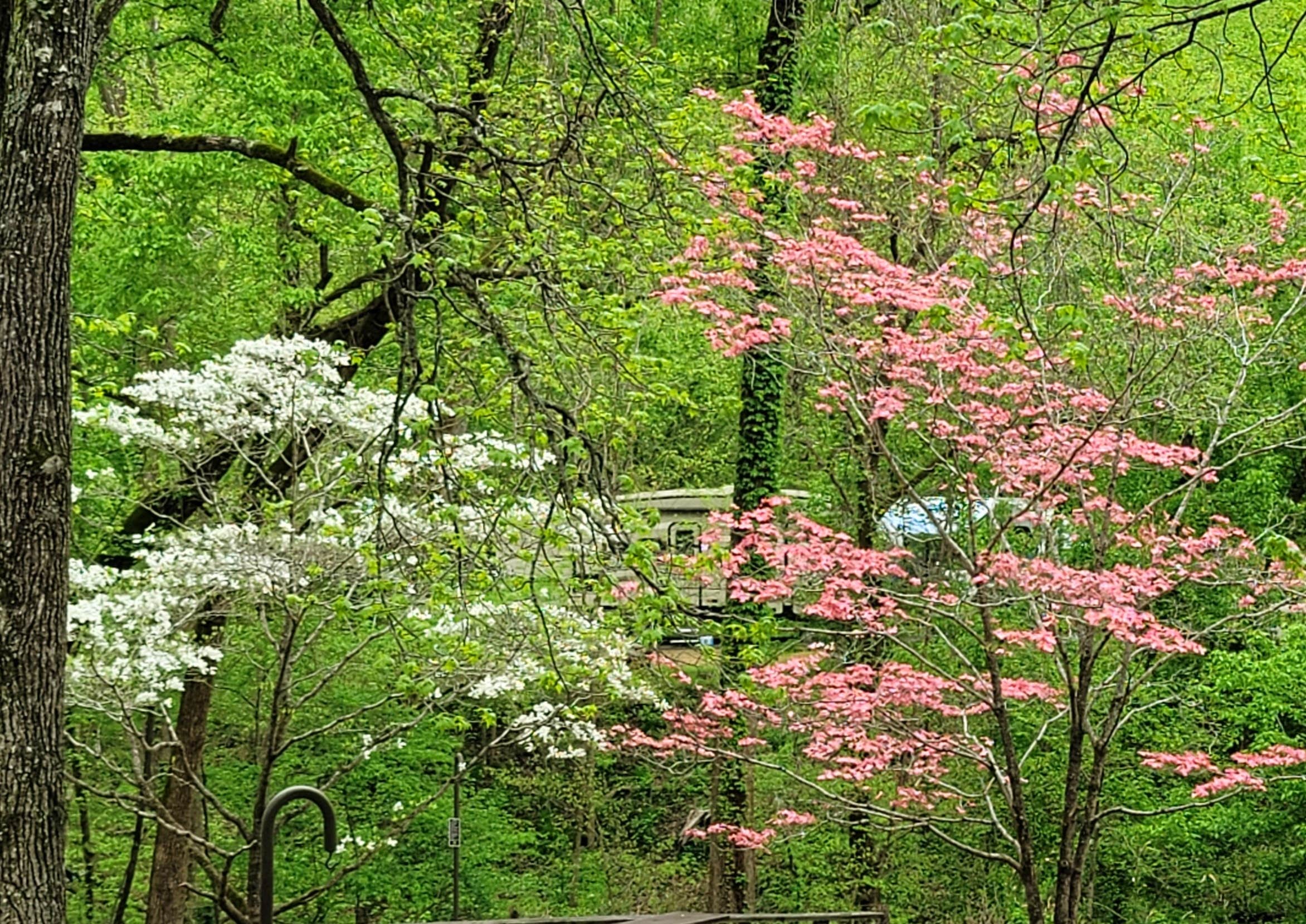 Camper-submitted photo at Woolum Dispersed Area — Buffalo National River near Buffalo National River