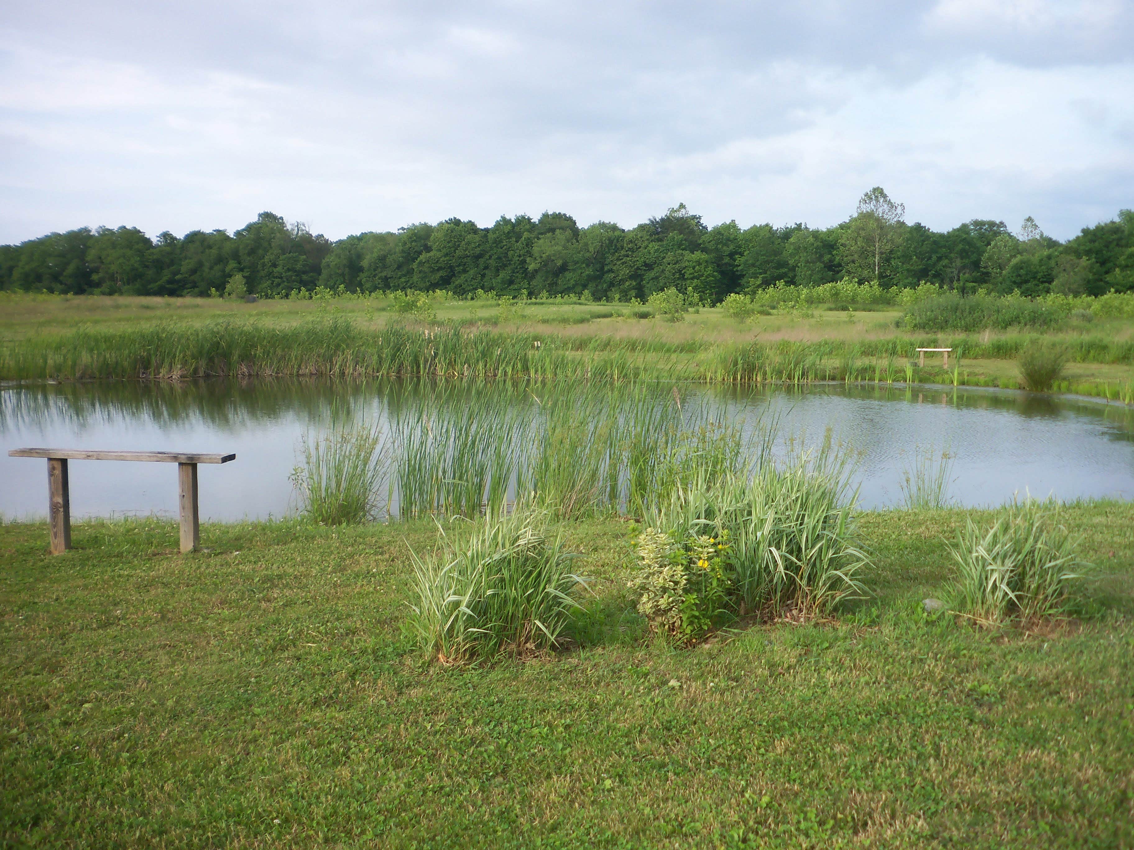 Camper-submitted photo at Grins & Pickin's CampFarm near Alum Creek Lake