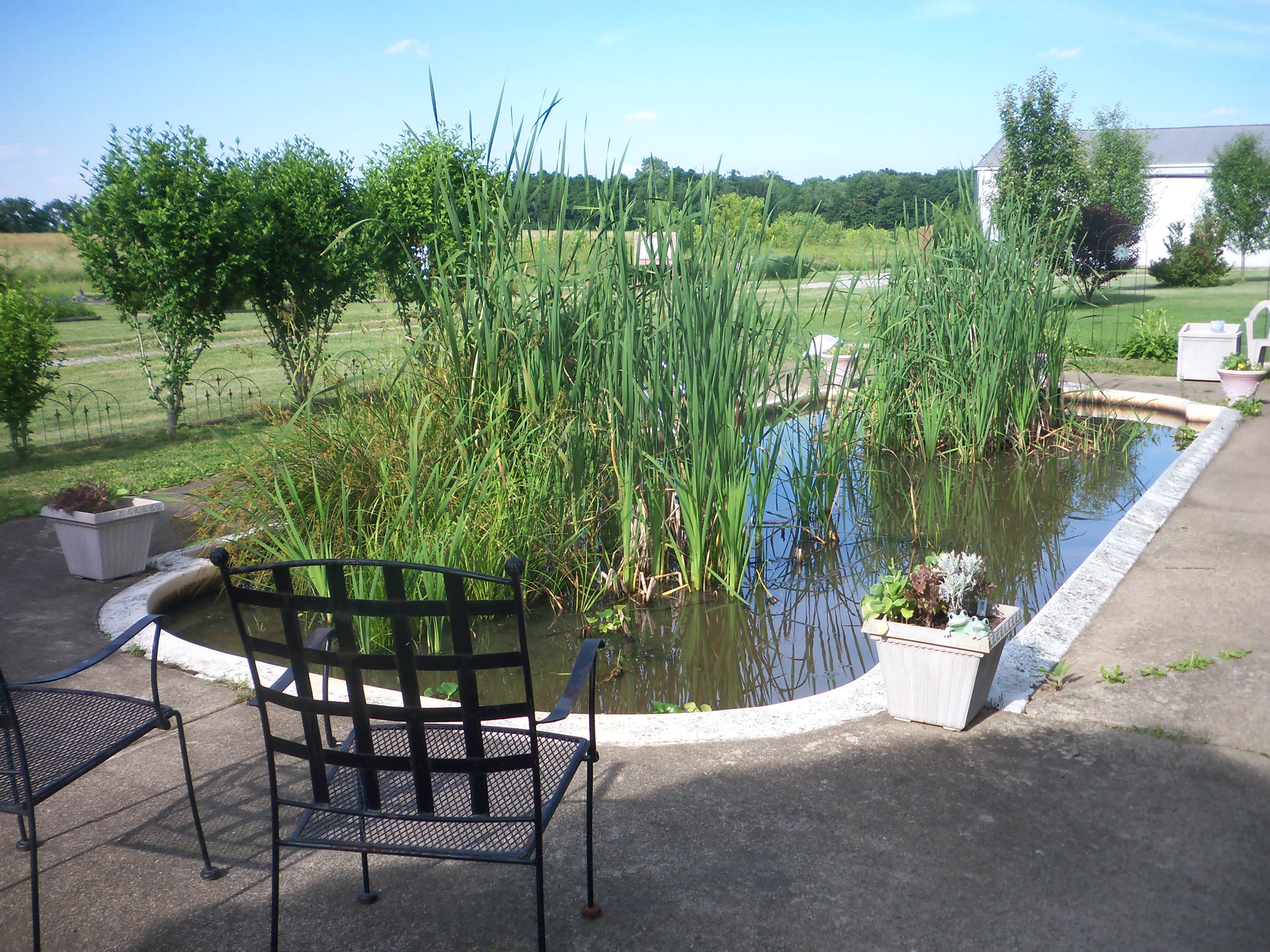 Camper-submitted photo at Grins & Pickin's CampFarm near Alum Creek Lake