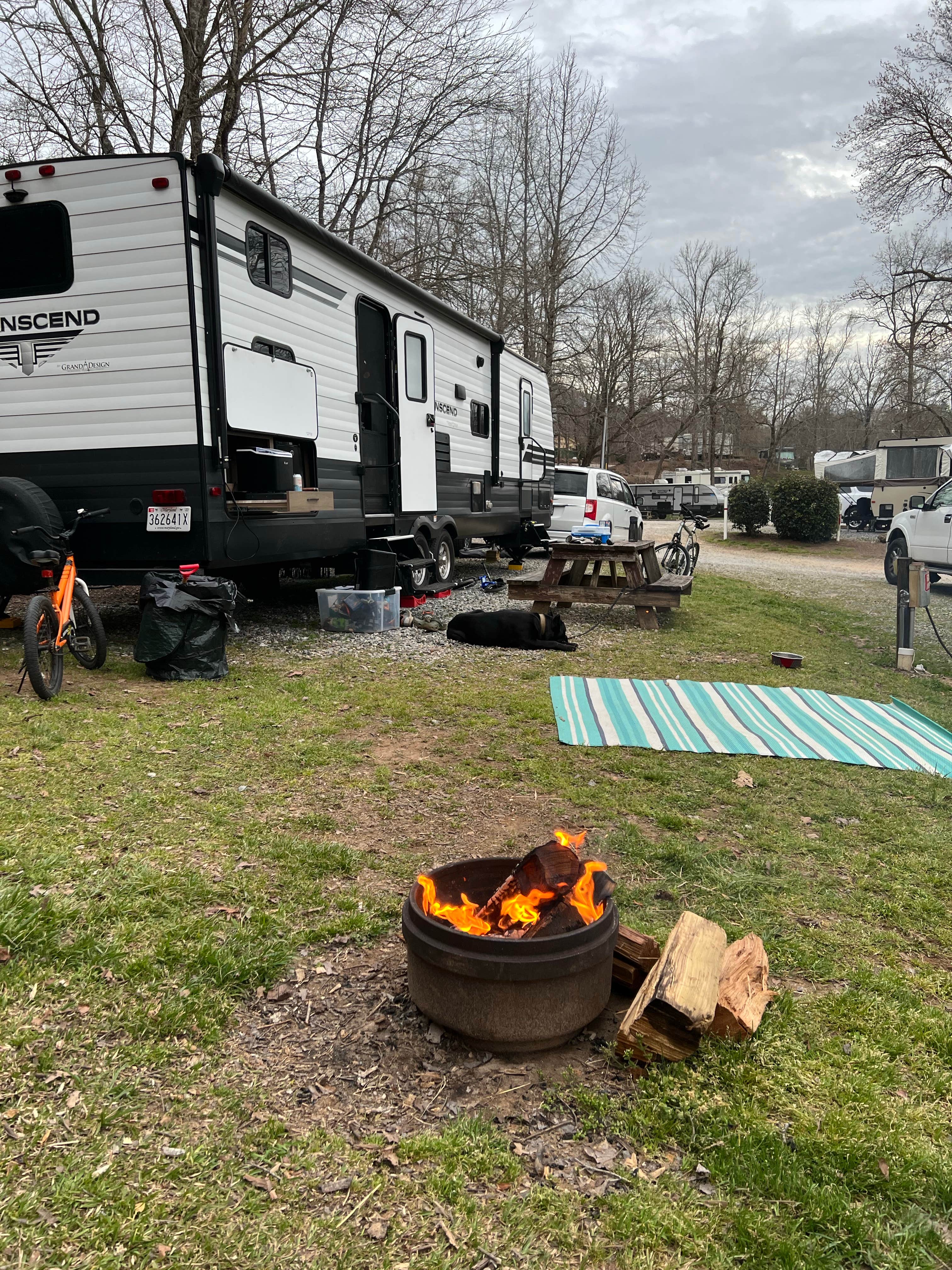 Camper submitted image from Yonah Mountain Campground - 1