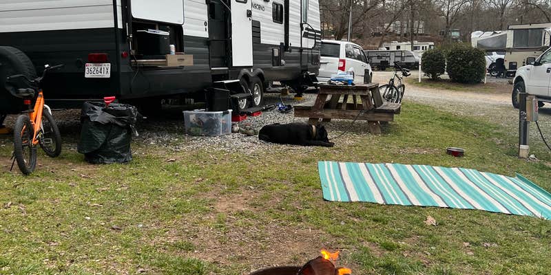Camper submitted image from Yonah Mountain Campground