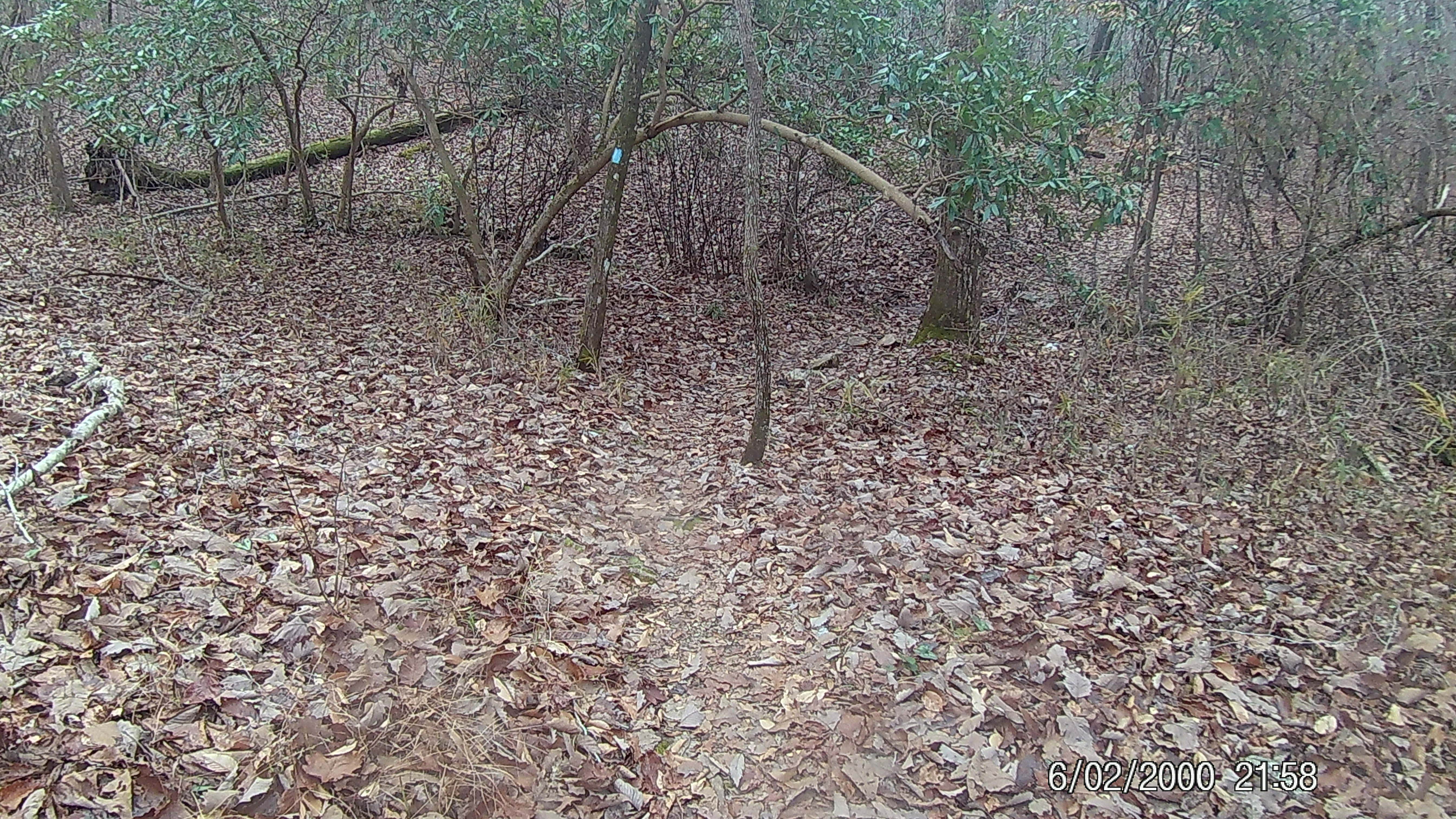 Camper-submitted photo at Blackwater Joe’s near Wildwood, FL