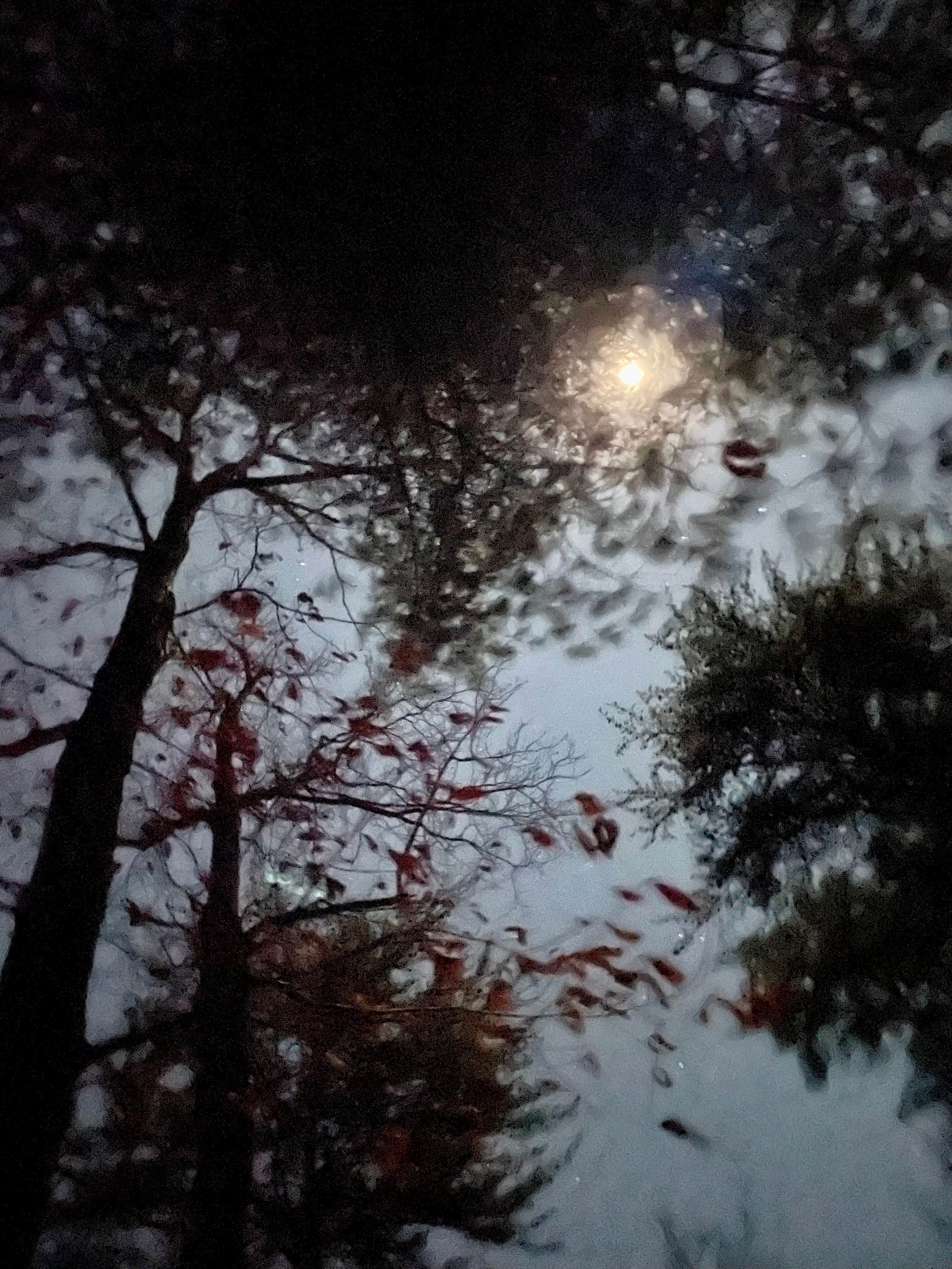 Camper-submitted photo at Blackwater Joe’s near Wildwood, FL